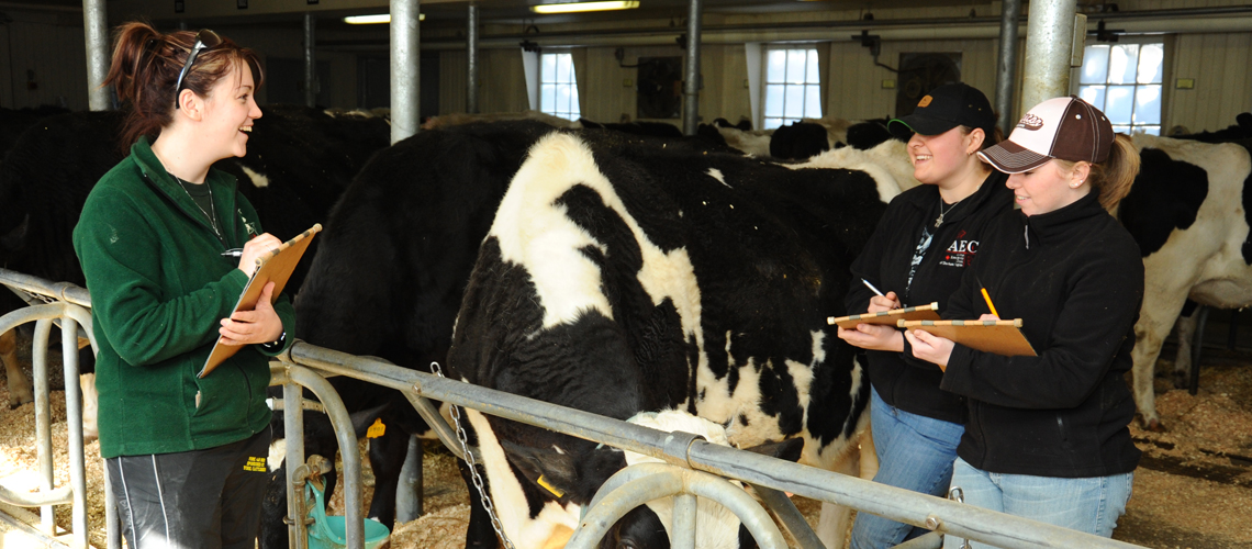 Animal Science removal of minor subjects in college Animal Science removal of minor subjects in college